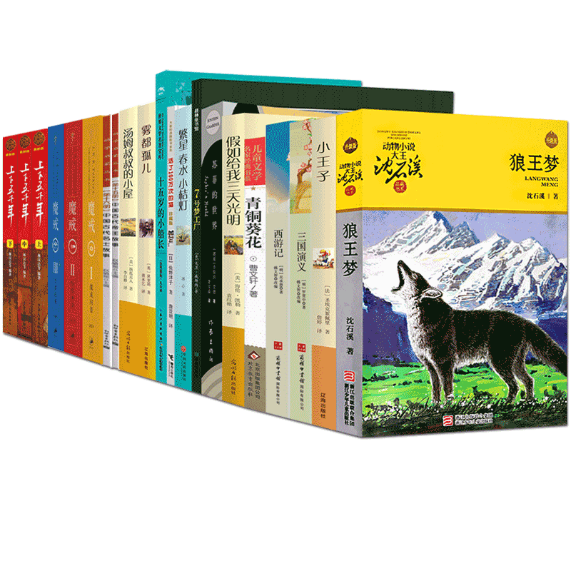 六年级课外阅读书籍全套17册