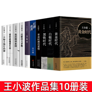 王小波全集套装10册万寿寺一只特立独行的猪沉默的大多数爱你就像爱生命黄金时代白银时代黑铁时代中国现当代文学散文随笔排行畅销