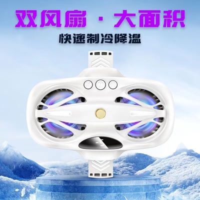 半导体制冷车载直播温度实时显示