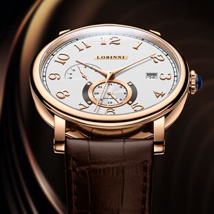 罗宾尼品牌官方正品手表男士全自动机械表男款商务大表盘名表十大
