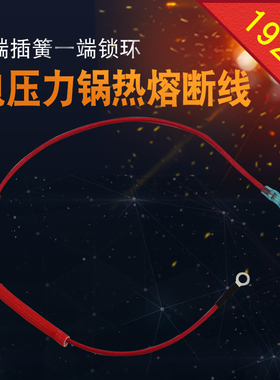 通用电压力锅配件CYSB50FC9-100/SY0648红色热熔断线保险线保险管