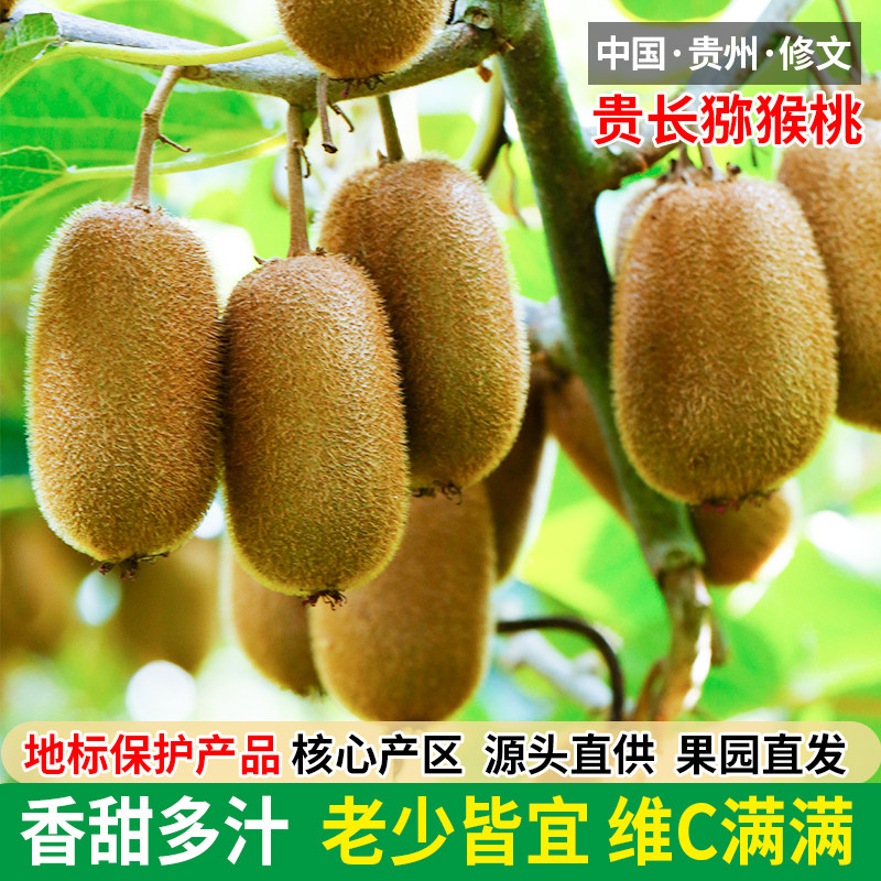 猕猴桃贵州产地直发新鲜当季水果