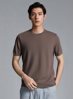 【品牌专柜】D251031B65爱登堡男装春季商务休闲短袖毛衫针织衫