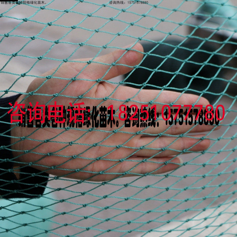 家禽养殖网养山鸡网养鸡围网尼龙网防鸟网护栏网养鸭网爬藤网|ruв категории доставка цветов/цветок моделирования/растения садоводства, садовых принадлежностей, других садовых принадлежностей - от Buy2taobao.com для оказания профессиональной услуги покупки агента Taobao