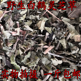 野生无硫草药白鹤灵芝癣草仙草广西白鹤灵芝草干品货 500克包邮