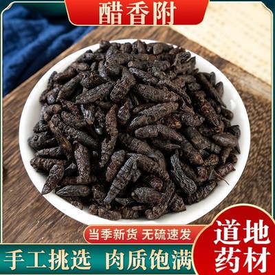 制香附中药材醋炙香附子