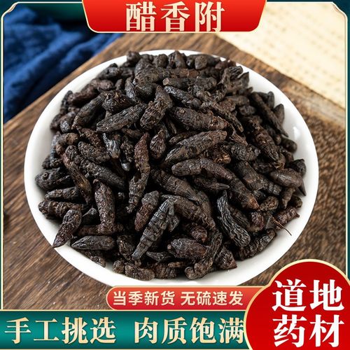制香附中药材醋炙香附子