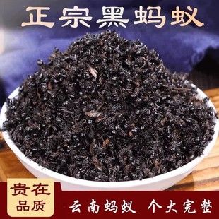 长白山黑蚂蚁晒干拟黑多刺蚁干泡酒 中药材正品 养生 500克 黑蚂蚁
