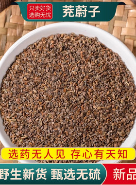充蔚子籽益母草子苦草子茺玉子