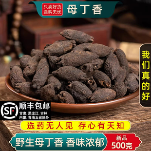 新货母丁香桂肉桂子钓鱼桂籽母丁香 天然香料烹饪煲汤500g克包邮