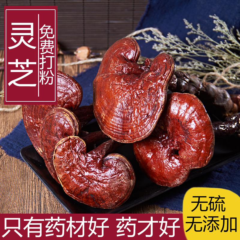 中药材正品新货野生赤灵芝干500g克 精选正宗紫红灵芝整个 中草药