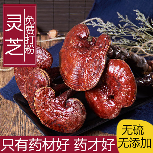 散装正品野生赤灵芝中草药