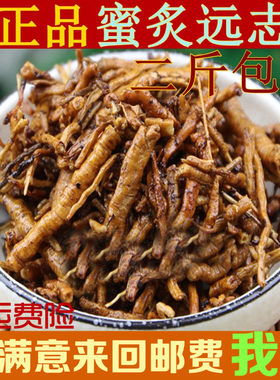 散装正品新货野生炙远志中草药