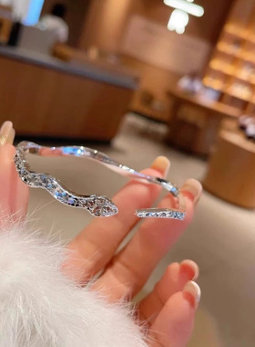 灵蛇碎碎冰手镯实心小冰蛇镯子