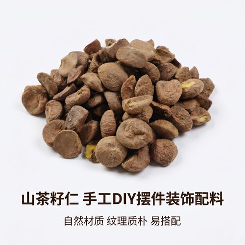 山茶籽仁橱窗角落造景铺设摆件