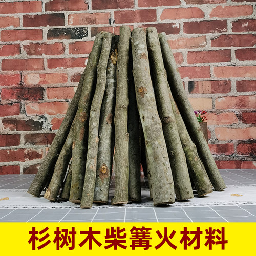篝火枫树木柴围坐篝火取暖烹饪