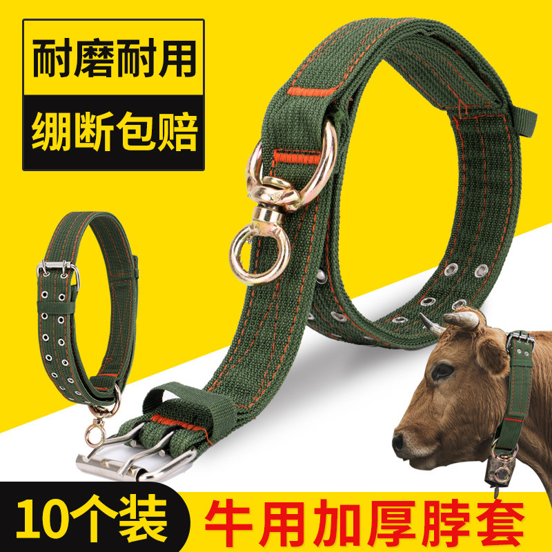 加厚栓牛脖套保险扣神器羊用项圈牛脖子套拴牛专用绳子牛用品大全