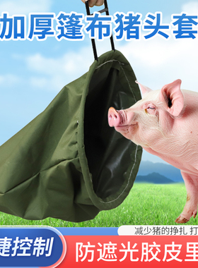 加厚猪头套养殖罩猪头袋打针猪用保定器猪场专用袋子套猪头固定器