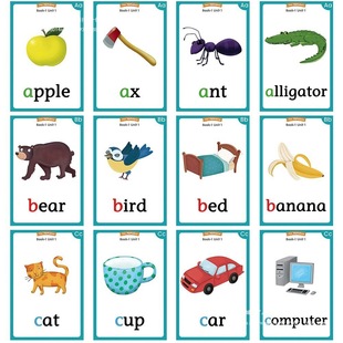 牛津树自然拼读oxford phonics world英语单词英文教学教具闪卡