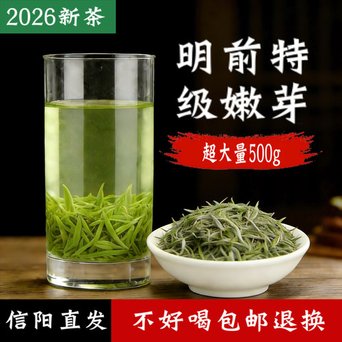 信阳毛尖2026新茶明前特级嫩芽茶
