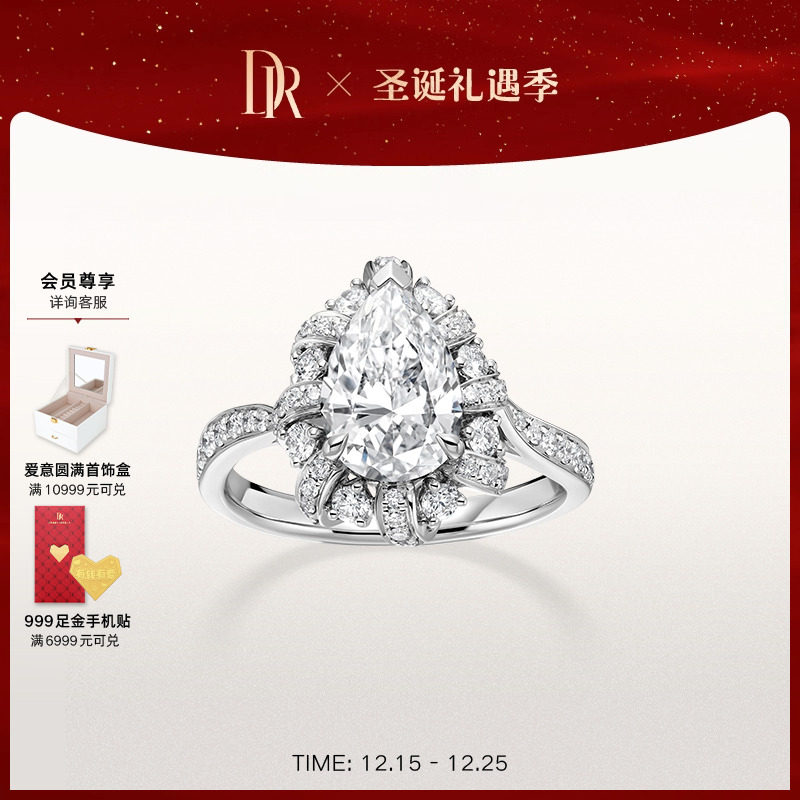 DR爱之共鸣重奏求婚钻戒