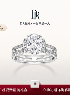 DR爱之共鸣·协奏求婚钻戒