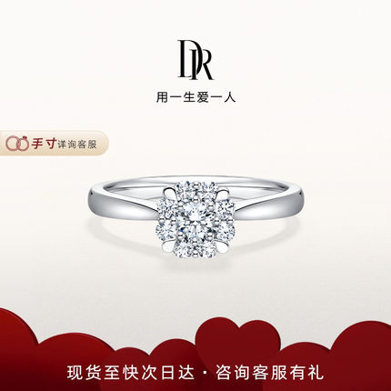 DRBELIEVE挚爱捧花求婚钻戒群镶钻石戒指铂金女戒镶嵌订婚WJ0065