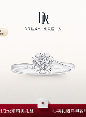 【礼物】DR BELIEVE雪吻经典款求婚钻戒钻石戒指毕业礼物WJ0100