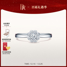 DRBELIEVE相守捧花求婚钻戒钻石戒指婚戒定制官方铂金WJ0071