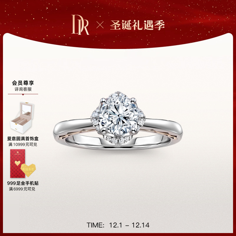 DRLOVEPALACE系列繁华求婚钻戒