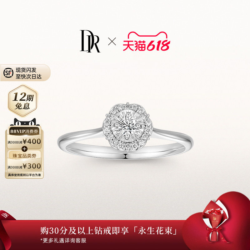 DRBELIEVE系列花漾经典款 求婚钻戒 18k金钻石戒指婚戒订婚WJ0791