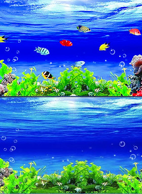 鱼缸背景贴纸高清图3D立体海底世界水族箱造景外贴装饰壁纸背景画