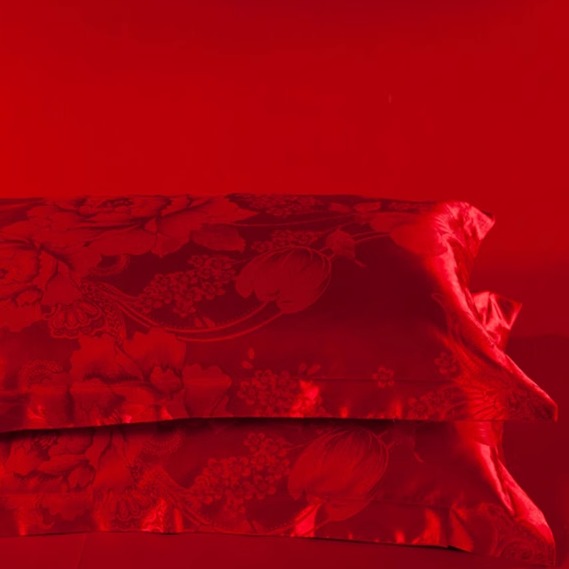 真丝枕套一对装贡缎提花欧式婚庆大红色四季凉感冰丝天丝绸枕头套