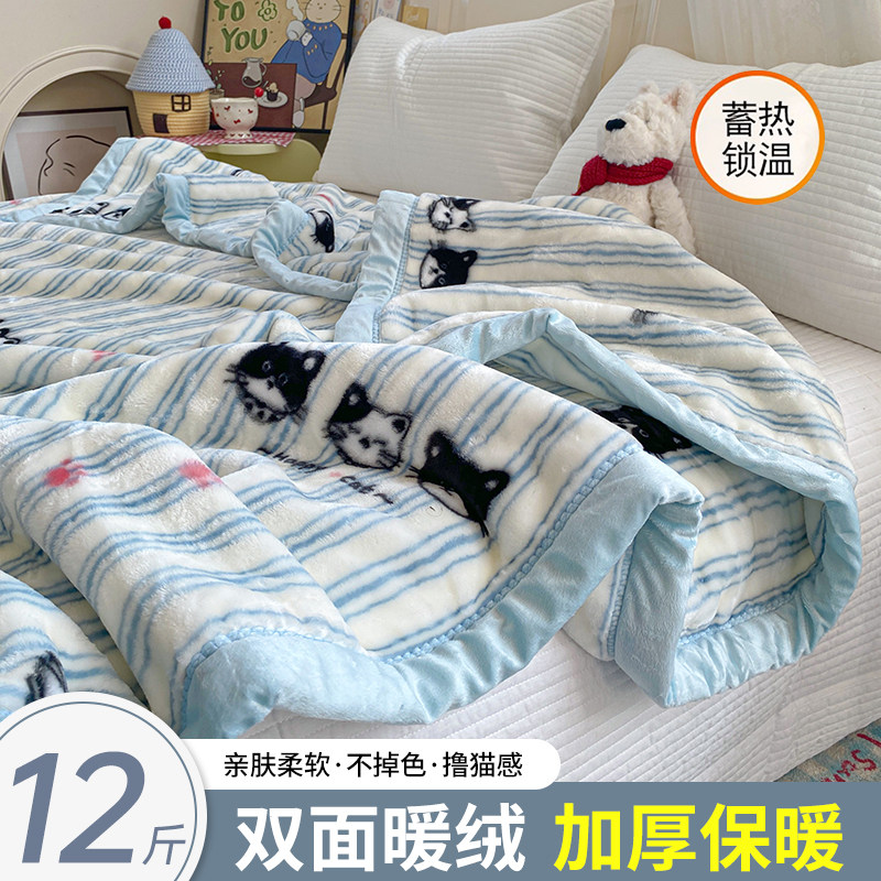 新款拉舍尔毛毯加绒加厚冬季盖毯宿舍学生铺床办公室沙发午睡毯子