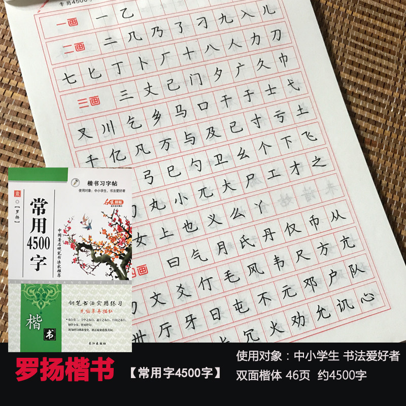 常用字4500字 正楷楷书 钢笔硬笔中性笔临摹描摹练字帖中学生字帖