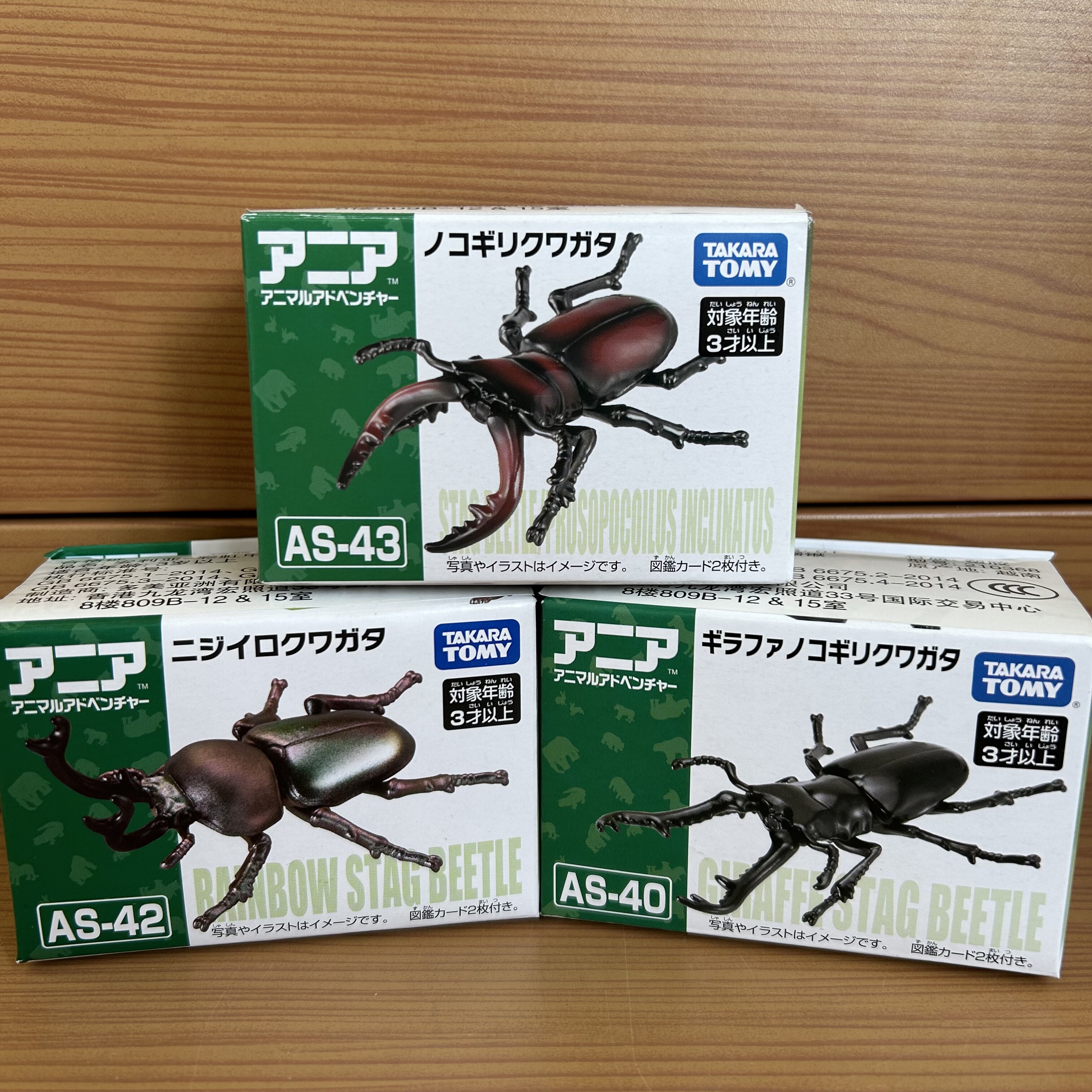 TOMY多美卡安利亚仿真野生动物模型独角仙大兜虫甲虫昆虫瓢虫玩具