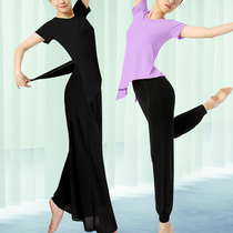 舞蹈服女现代舞形体服女上衣莫代尔短袖宽松古典舞蹈服舞蹈练功服