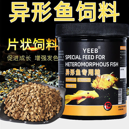 yeeb异形鱼饲料清道夫女王底栖鱼