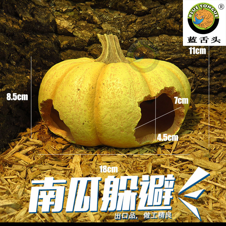 出口南瓜核桃爬虫躲避雨林蝎守宫洞穴造景爬宠山洞玉米蛇窝,宠物/宠物食品及用品,爬宠躲避/造景,淘宝优惠券,粉丝福利购,淘宝优惠卷