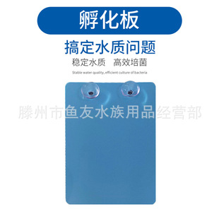 PVC塑料七彩神仙鱼燕鱼繁殖孵化板 批发繁殖罐产卵板产卵罐孵化器