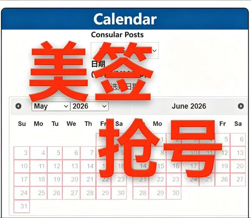全球美签slot加急预约代抢号中国英国加拿大澳洲美签约号全包指导