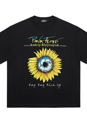 PinkFloyd摇滚音乐个性重磅透气印花男女短袖T恤学生宽松潮牌夏季