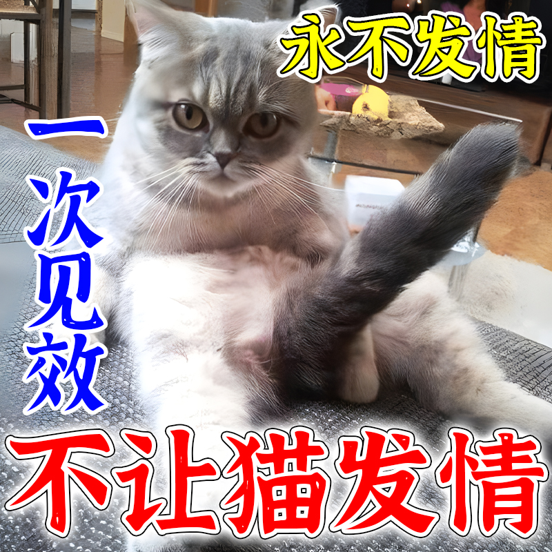 猫咪发禁情粉公猫母猫抑制猫闹禁情液情欲片闹猫叫绝情粉母猫通用