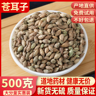 野生苍耳子纯天然中药材