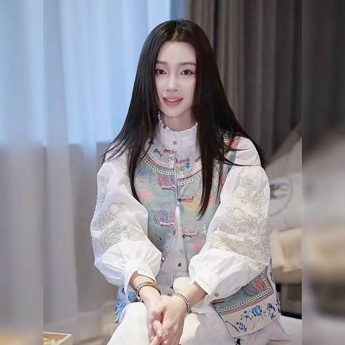 新中式国风高级感独特宋锦印花马甲背心白色衬衫两件套装女2025春