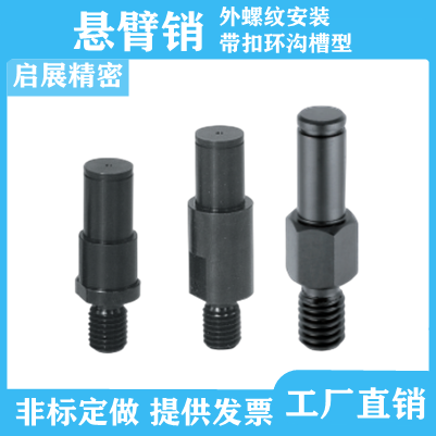 悬臂销LXAA PLXAA SLXAA LXNAA PLXNAA SLXNAA外螺纹带扣环沟槽型