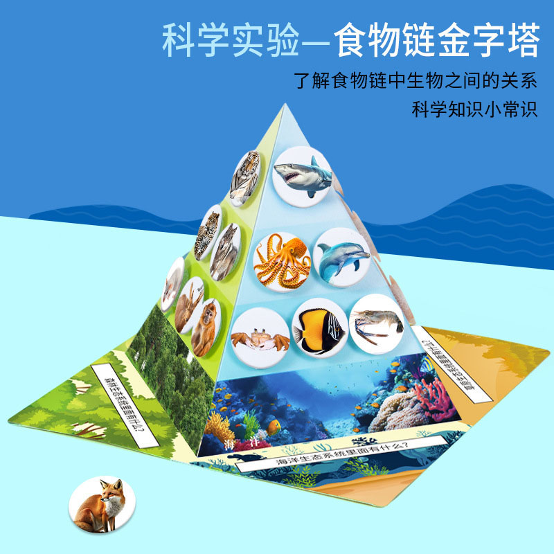 科学实验食物链金字塔科技制作diy实验材料包学生