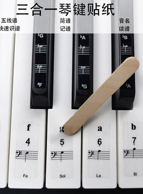 钢琴键盘贴纸  54/61/88电子琴键盘五线谱贴纸贴膜音准贴纸