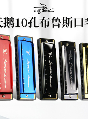 天鹅 10孔布鲁斯口琴 C调儿童初学者成人蓝调十孔入门乐器