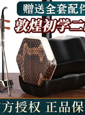 敦煌二胡 01A铁梨木儿童成人木轸民族乐器